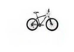 DBR Reaction 16 Inch Mountain Bike - Men's